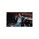 512 STORE Harry Styles Poster 30x40, 5878559966