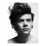 512 STORE Harry Styles Poster 30x40 cm, 8588774555hhg