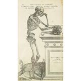 512 STORE İnsan Anatomisi İskelet Duvar Dekor Poster, 3232325r23tr