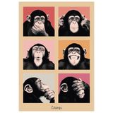 512 STORE Six Monkeys Estetik Duvar Dekor Modern Çerçevesiz Tablo Poster 20 X 30 Bej, uy54tf242