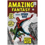 512 STORE Spider Man Dergi Kapak Poster 30x42, 4323eefeasd