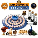 52 Yumurta Kapasiteli Tam Otomatik Kuluçka Makinesi