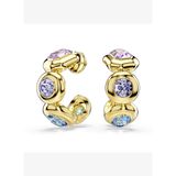 5737444 Swarovski Küpe Gema:Pe Hoop Mul/Gos