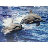 5D Elmas Boyama Sevimli Yunuslar İkili Yunus Resmi Tablosu 30x40 cm (4604)