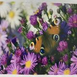 5D Yapışan Boncuk Goblen 30 x 40 cm Mozaik Tablo Pano 60338