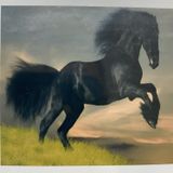 5D Yapışan Boncuk Goblen 30 x 40 cm Mozaik Tablo Pano 60415
