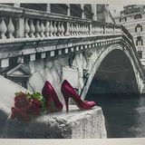 5D Yapışan Boncuk Goblen 30 x 40 cm Mozaik Tablo Pano 60441