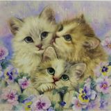 5D Yapışan Boncuk Mozaik Tablo 30 * 30 cm VX4