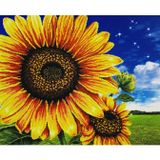 5D Yapışan Boncuk Mozaik Tablo 30 * 40 cm PNXX01