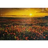 5D Yapışan Boncuk Mozaik Tablo 30 * 40 cm XQH90706