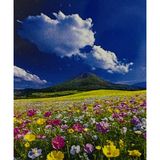 5D Yapışan Boncuk Mozaik Tablo 30 * 40 cm XQH91659
