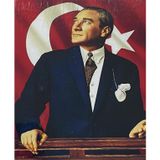 5D Yapışan Boncuk Mozaik Tablo 40 * 50 cm TS19