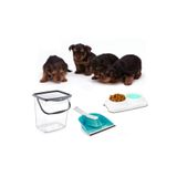 5DM-Evcil Hayvan Kedi Köpek Mama ve Temizlik Seti (Mama Kovası- Mama ve Su Kabı- Kürek - Süpürge)