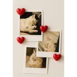 5'li Kalpli Magnet Seti - Fotoğraf ve Not Tutucu, Buzdolabı Süsü, Güçlü Mıknatıs, Dekoratif Magnet - Kırmızı
