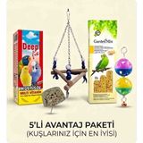 5'li Muhabbet Kuşu Başlangıç Seti (Vitamin, Yem, Salıncak, Oyuncak, Gaga Taşı)