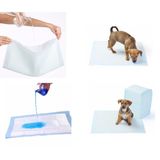 5'li Paket Yıkanabilir Köpek Çiş Pedi - 100x100 cm | Ekonomik ve Geniş Kullanım