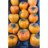 5M Ahşap Dekor Cennet Hurması 4 Kg