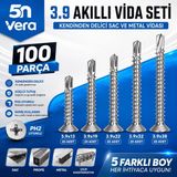 5n Vera 100 Parça Yhb Akıllı Vida Seti | 3.9 Kendinden Delici Matkap Uçlu Sac ve Metal Vidası | Ph2 Uyumlu | 3.9X13 3.9X19 3.9X22 3.9X32 3.9X38