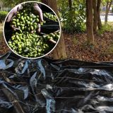 5X5 METRE ZEYTİN SERGENİ ZEYTİN TOPLAMA ÖRTÜSÜ FINDIK FISTIK DUT TOPLAMA FİLESİ HASAT TABAN ÖRTÜSÜ