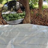 5X6 METRE ZEYTİN SERGENİ ZEYTİN TOPLAMA ÖRTÜSÜ FINDIK FISTIK DUT TOPLAMA FİLESİ BEYAZ HASAT TABAN ÖRTÜSÜ