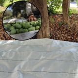 5X8 METRE ZEYTİN SERGENİ ZEYTİN TOPLAMA ÖRTÜSÜ FINDIK FISTIK DUT TOPLAMA FİLESİ BEYAZ HASAT TABAN ÖRTÜSÜ