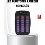 6.5” LED Işıklı Gts 1793 Bluetooth Hoparlör Güçlü Bass ve Fm Destekli - TK002M-6VUYH1 - Çok Renkli