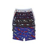 6 Adet Erkek Çocuk Desenli Boxer 505