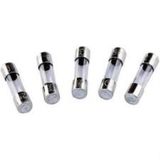 6 Amper Cam Sigorta 5X20 MM 100 Adet