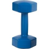 6 kg Plastik Dambıl 6 kg (1 Adet) Mavi Tek Ebat