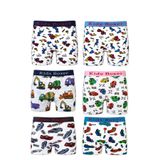 6 lı Erkek Çocuk Desenli Boxer Empirme Baskılı Pamuklu (Karışık, 5-6 Yaş)