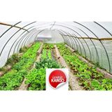 6 M X 8 M 350 Mikron Eva UV Katkılı 36 Aylık Sera Naylonu Kalın