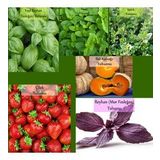 6 Paket Tohum No14 Yeşil Fesleğen Reyhan Tohumu Mor Fesleğen Nane Kekik Bal Kabağı Çilek Tohumu