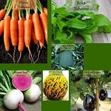 6 Paket Tohum No15 Havuç Tohumu Roka Kara Kavun Topan Patlıcan Karpuz Turp Kırkağaç Kavun Tohumu