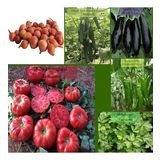 6 Paket Tohum No18 Arpacık Soğan 1 Kg. Iska Hibrit Salatalık Patlıcan Köy Domatesi Biberi Tohumu