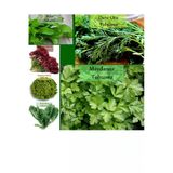 6 Paket Tohum No2 Maydanoz Tohumu Dere Otu Tere Roka Tohumu Kırmızı Marul Kıvırcık Tohumu Yeşillik