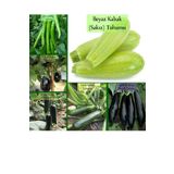 6 Paket Tohum No3 Kabak Tohumu Patlıcan Tohumu Demre Biber Tohumu Alman Hıyarı Tohumu ...