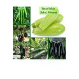 6 Paket Tohum No3 Sebze Tohumları Patlıcan Tohumu Kabak Tohumu Salatalık Hıyar Tohumu Demre Biber