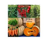 6 Paket Tohum No4 Sebze Tohumları (3 Çeşit Hibrit 3 Çeşit Normal Tohum) Salatalık Tohumu F1 ...