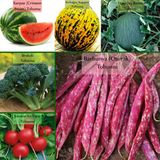 6 Paket Tohum No5 Karpuz Tohumu Hasanbey Kırkağaç Kavun Tohumu Brokoli Turp Kınalı Barbunya Tohumu