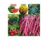 6 Paket Tohum No5 Kırkağaç Kavunu Tohumu Kara Kavun Tohumu Barbunya Tohumu Brokoli Tohumu ...