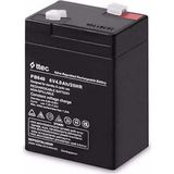 6 Volt 4 Amper Kuru Akü 6V 4A Üretim Ocak 2024