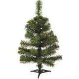 60 cm Yılbaşı Çam Ağacı