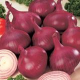 60+ Red Burgundy Kırmızı Soğan Tohumu N11.415