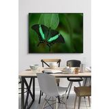 60 x 70 cm Model 59 Desenli Cam Tablo 4mm Temperli Camdır