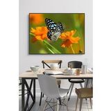 60 x 70 cm Model 60 Desenli Cam Tablo 4mm Temperli Camdır