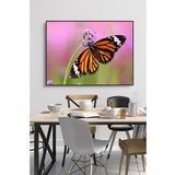 60 x 70 cm Model 61 Desenli Cam Tablo 4mm Temperli Camdır