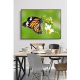 60 x 70 cm Model 67 Desenli Cam Tablo 4mm Temperli Camdır