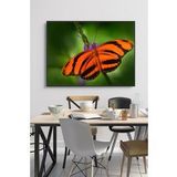 60 x 70 cm Model 68 Desenli Cam Tablo 4mm Temperli Camdır