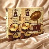 600'LÜK 10X15CM Kutulu Fotoğraf Albümü - Çok Renkli