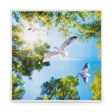60*60 Pvc Asma Tavan Doğa Desen 20 Ad. Panel